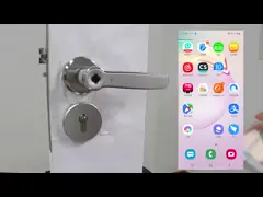 Замок кнопочной панели Keyless умный WIFI отпечатка пальцев ПРИЛОЖЕНИЯ цифров TTLOCK video