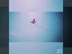 Тканевый материал цвета Стакабле змея бабочки различный для резвиться пляжа video