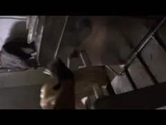 Легкий поддерживайте автоматическую конфету делая машину, конфету сахара делая машину video