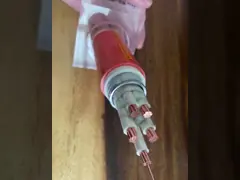 Copper Conductor XLPE Multicore Control Cable WIth PVC Sheath CE / KEMA