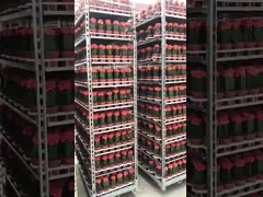 PU Wheel Q235 Display 1900mm Plywood Shelf CC Container