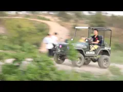 Мини спорт виллиса 4ВД участвуя в гонке АТВ идут багги Карт для взрослого, 300кк идут Карт video