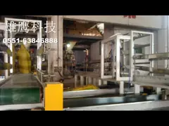 рис 50Hz 30kg веся cE машины упаковки в пищевой промышленности video