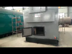 Упакованный тип биомассы боилера пара ДЗХ деревянной увольнянный лепешкой увольнянный рукой video