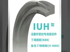 Уплотнение штанги давления SPNC высокое video