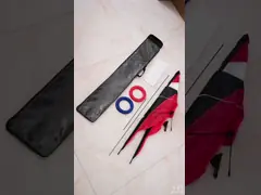 змеи нейлона 120x60cm качания 5bft изготовленные на заказ напечатанные video