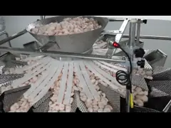 Замерзанный удит машину 12P/M Multihead веся video