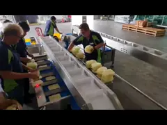 Semi Automatic 12 Head multihead combination weigher