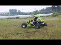COC Standard EEC Automatic Dune Buggy 200cc 350kg Load Capacity For Adults Racing video