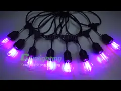 Les filaments S14 de RVB ficellent des lumières de feston de jardin de LED video