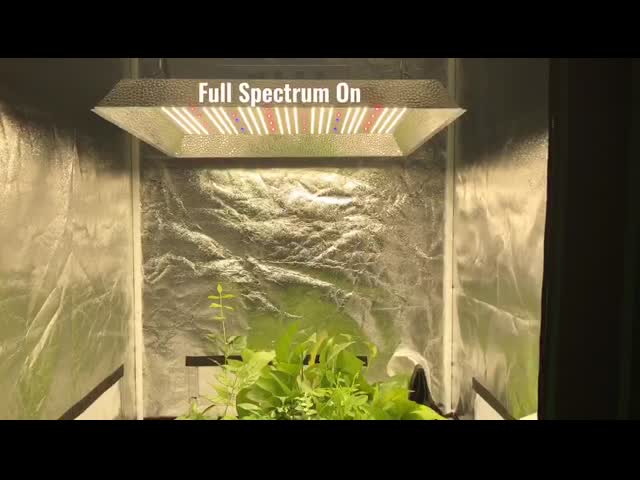 Marshydroスクエア3x3 330w Quantum LEDはライトを育てる