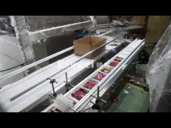 Машина упаковки сумки с параллельным манипулятором для коробки video