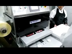 Свежее мясо доработало машину упаковки 5KW атмосферы для промышленного предприятия video