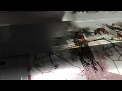 INK037 Printable PVA Water Transfer Printing Film