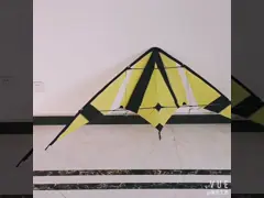 Покажите змея эффектного выступления перепада полиэстера EN71 коробки 160x80cm video