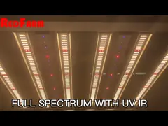 ETL 1000w Horticulture Led Grow Lights For Cannabis Plant