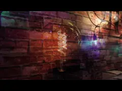 European Specification Heteromorphic Bulb