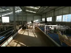 Handheld спичка читателя UHF Rfid ABS с системой управления video