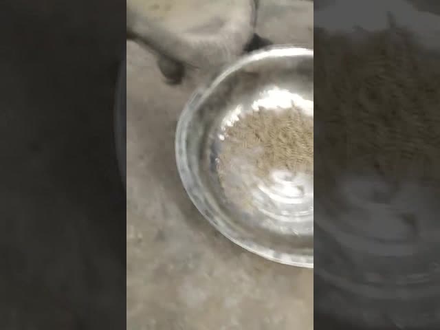 22kw大容量600kg/H 800kg/Hの生物量の餌機械