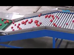 Сортировальная машина авокадоа цитруса обработки овоща плода Яблока video