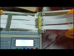 Сплетенный Webbing Terylene связывает 50*180mm для двигая мебели video