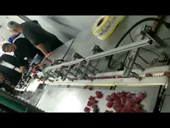 Машина упаковки полноавтоматическое 360bags/Min извива шоколадного батончика шоколада двойная video