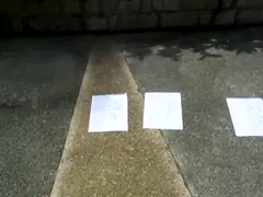 B1003 Article Tinplate  Acrylic 400ml Animal Marking Paint