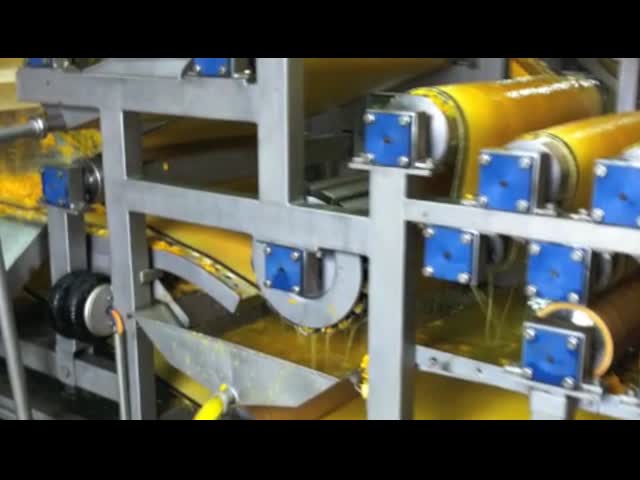 Belt Type Juicing 8r/Min SUS304 Fruit Pulp Extractor