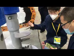 Быстрая принесенная скорость сверлящ машину, компактную текстуру машины Боревелл выкапывая video