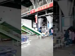 Машина сумки корма для животных 500 до 600 сумок всечасная Palletizing video
