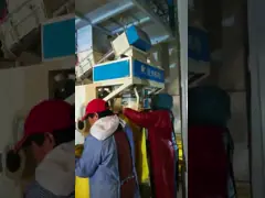 DCS-50WF пудрят кладя в мешки машину 25kg для муки маиса video