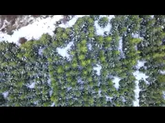 Срок службы высоких приложений рельса Тренчер стойкости гидравлических длинный video