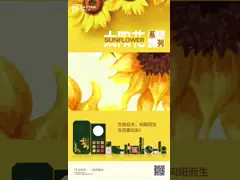 Blusher Двух-цветов высококачественного макияжа стороны восхитительный для производства метки частного назначения от полученной контракт фабрики video