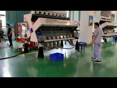 AMD rice sorting machine