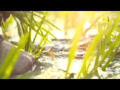 Машина сортировщицы цвета риса соединения облака многоуровневая video