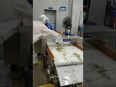 Conveyor Food Metal Detectors for Seafood Processing