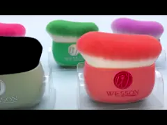 Multifunction Travel Kabuki Brush For Facial Makeup video