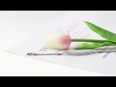 ODM поддержал браслет изготовленных на заказ выгравированных женщин SS304 video