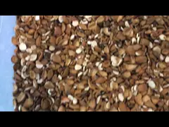 Good Performance Almond Nuts Color Sorter Reasonable Channel Assigns For Various Size