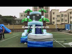 Водные горки тропической ладони печатания шелковой ширмы раздувные с бассейном video