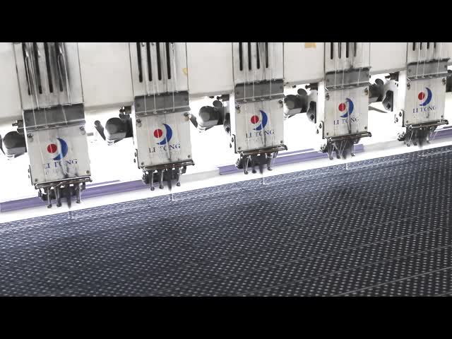 Изготовленная на заказ отделка шнурка вышивки OEKO TEX для дамы Одежды Ботинка видео