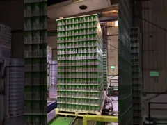 банки пива 330ml 500ml алюминиевые с изготовленным на заказ печатанием бренда video