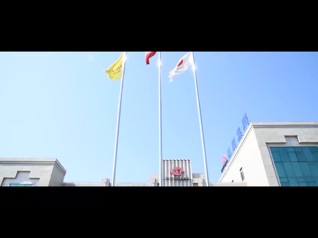 Shanghai Honglian Medical Tech Group Company Introduction