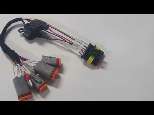 Transmission Wiring ハーネス と DT 2 Row 4.0mm Plug コネクタ