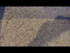 ККД отображает пиксел сортировщицы 5400 цвета кофейного зерна сортировщицы/цвета зерна video