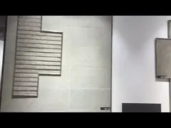 tamaño beige de la teja los 60x60cm del color de la baldosa áspera de la porcelana de la fábrica de Foshan del tamaño de 600x600m m video