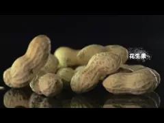 Машина высокоскоростной мозоли сортируя, машина высоких ИМПов ульс изображения определения сортируя video