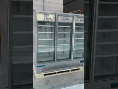 Digital Thermostat Upright Glass Door Freezer For Frozen Food