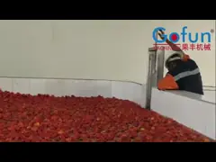 Технологическая линия кетчуп томатного соуса SS304 150t/D video