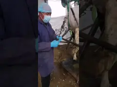 Multi утеска копыта функции, обувающ утеску ноги коровы и скотин, плоскогубцы ремонта копыта молочных коров video